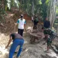 IMG 20260722 WA0124