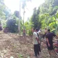 IMG 20260725 WA0194