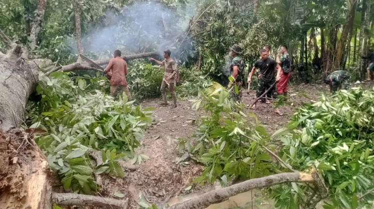 Hujan, Angin, Pohon Tumbang! Jalur TMMD Sempat Lumpuh, Satgas dan Warga Berpacu Buka Akses