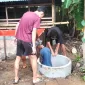 IMG 20260806 WA0357(1)