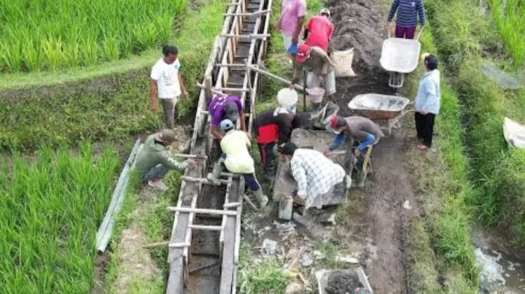 Dorong Pengawasan Tetap Ketat, Irigasi Mengalir, Harapan Petani Menguat: P3-TGAI Aceh Tenggara Dapat Apresiasi 