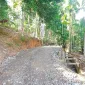 IMG 20260812 WA0117(1)