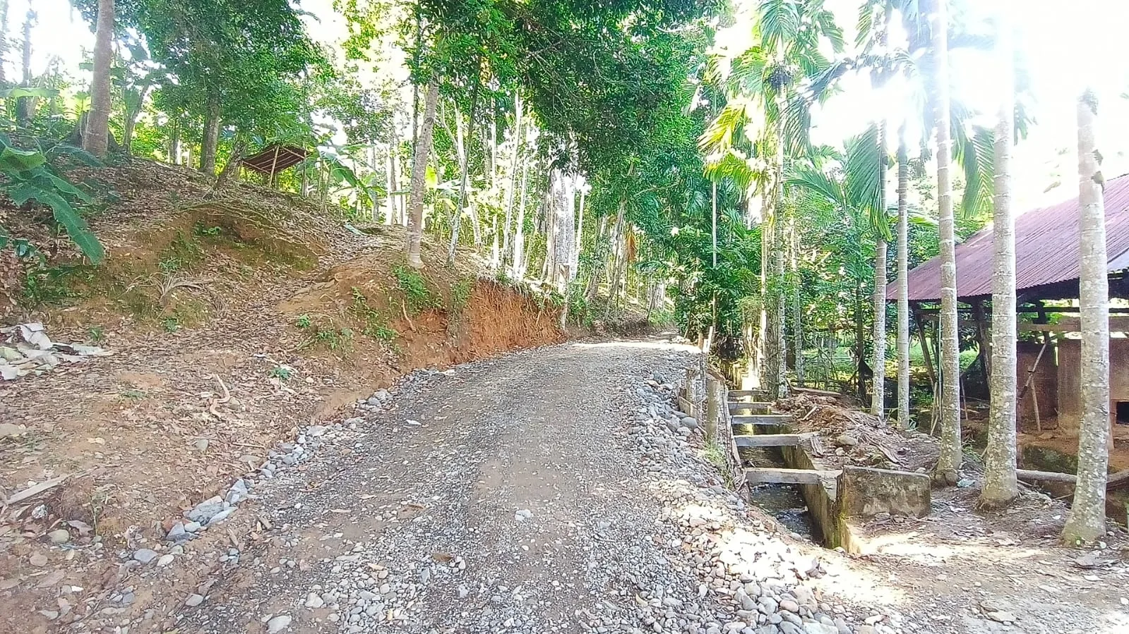 IMG 20260812 WA0117(1)