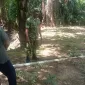 IMG 20260821 WA0008