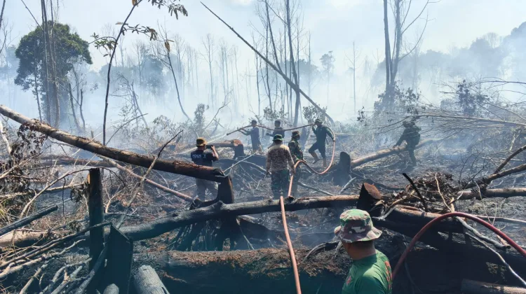 Api Kembali Menggeliat di Bakongan, TNI-BPBD Bergerak Jinakkan Karhutla