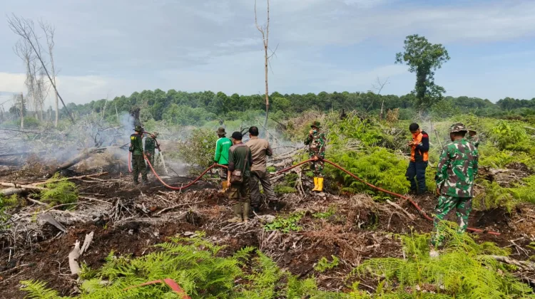 TNI-BPBD-TNGL dan Warga Berjibaku Padamkan Karhutla di Ujung Mangki, Luas Terbakar Capai 12 Hektare