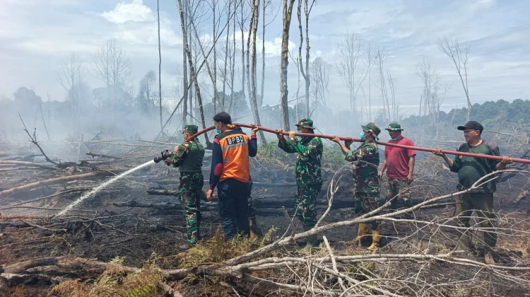 Hari Keenam Karhutla Bakongan, Dandim dan Kalak BPBD Turun Langsung Padamkan Bara