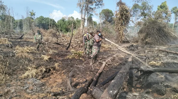 Satgas Karhutla Sisir Titik Sumber Asap, Penanganan Kebakaran Lahan Gambut di Ujuang Mangki Terus Dilakukan