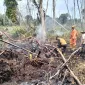 IMG 20260906 WA0049