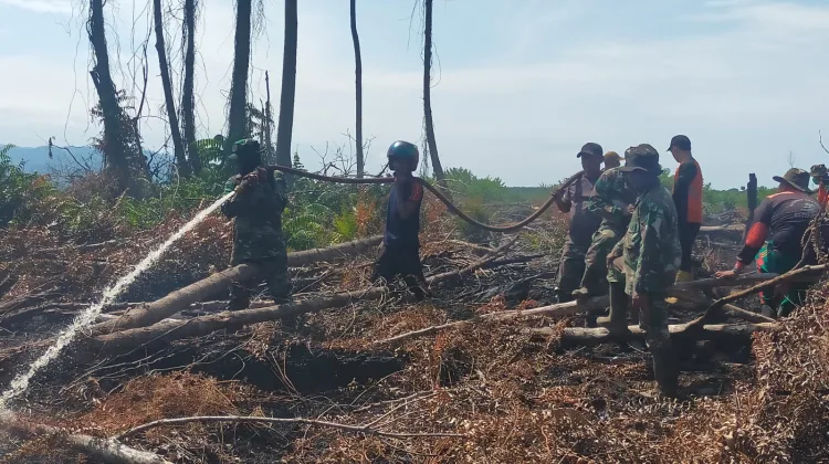 TNI-BPBD Sisir Lokasi Karhutla di Ujung Mangki, Pastikan Sisa Asap Teratasi