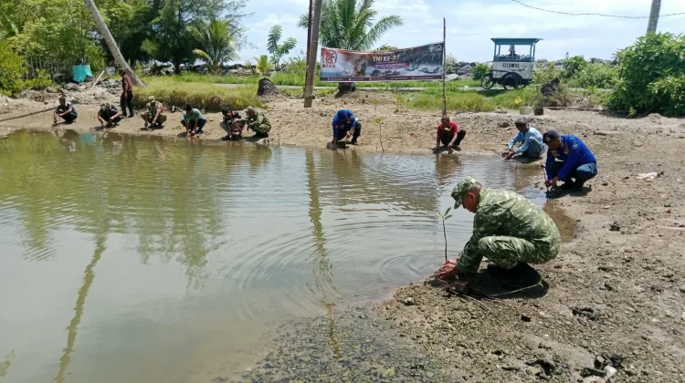 TNI Bersatu dengan Alam, Koramil Jajaran Kodim 0107/Aceh Selatan Tanam Pohon hingga Mangrove