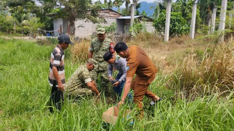 Sambut HUT TNI ke-81, Koramil Jajaran Kodim 0107/Aceh Selatan Tanam Pohon dan Bersihkan Lingkungan