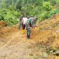 IMG 20260917 WA0043(1)