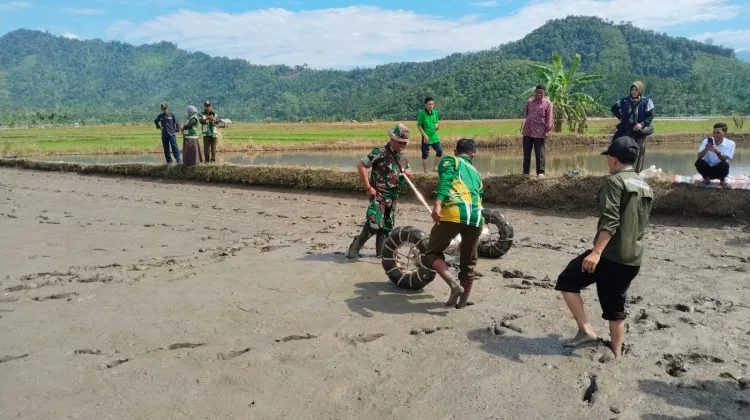 Danramil 06/KU Hadiri Penanaman Perdana Padi Sistem PM-ASS di Gunung Pudung