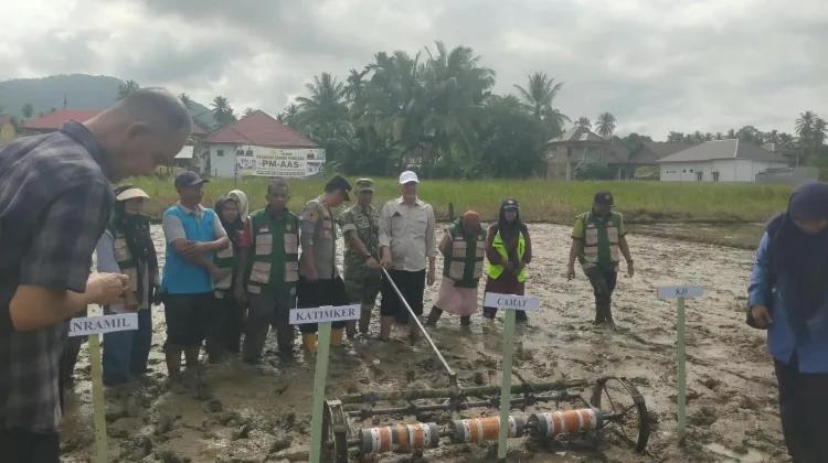 Koramil 14/Pasie Raja Dukung Modernisasi Pertanian Melalui Penanaman Padi Perdana Teknologi PM-AAS